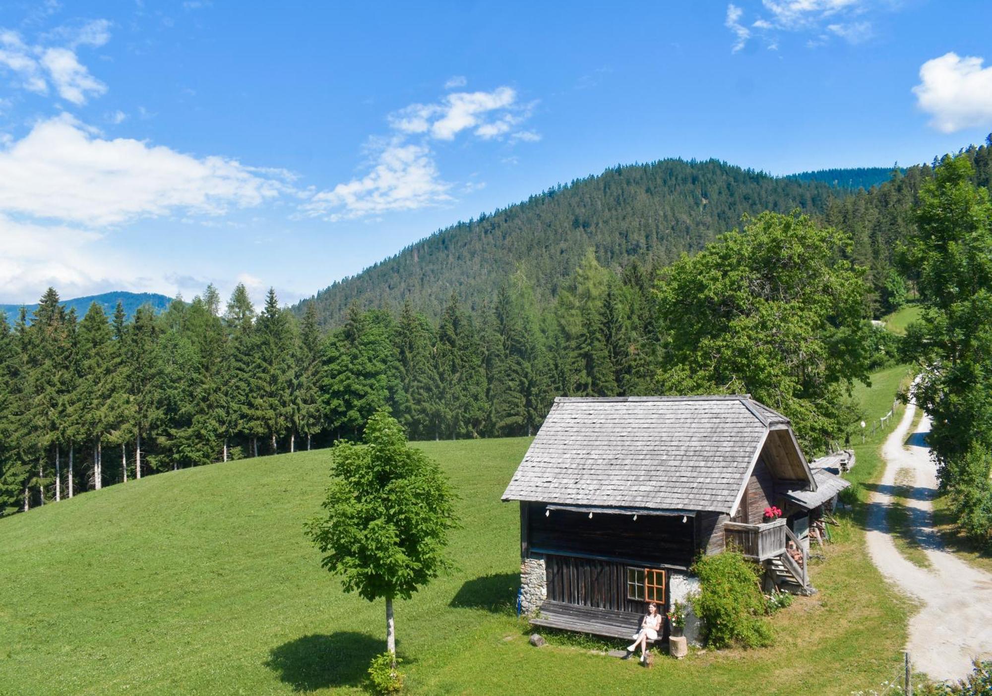Stoanerhof Apartment Шладминг Екстериор снимка